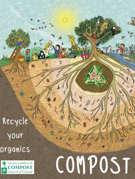 an illustration of a tree including roots in the ground that are intertwined with compostable items