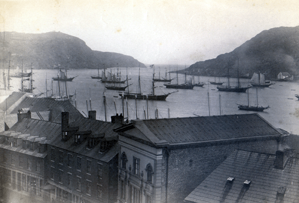 Photo #: 01-17-003  Buildings on Water Street with a view of St. John's harbour, or the Narrow's, showing in the background.  Dated 1880-1885.