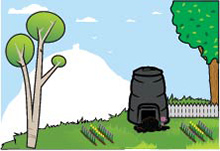 Backyard Compost Bin