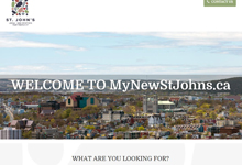 my new st.johns' website image