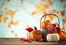 Image of fall foliage, leaves and mini pumpkins