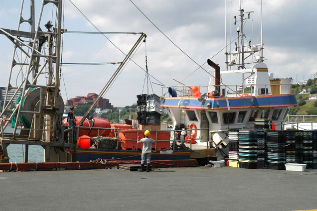 Fishing trawler at southside harbour