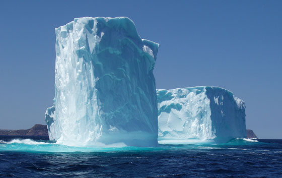 Iceberg near Cape Spear