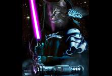 cat star wars poster