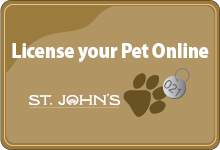 Image is brown with white text that says 'License Your Pet Online'