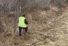 Wearing a reflective safety vest and holding a garbage bag, a staff is in a grassed roadside picking up litter