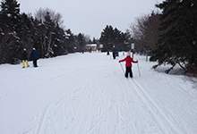 skiing and snowshoeing at Pippy Park