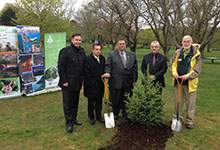 Representatives from the City of St. John's, Tree Canada and TD Friends of the Environment Foundation plant a tree in Bannerman Park