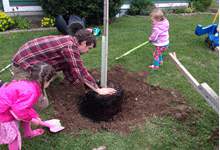 Family planting a tree