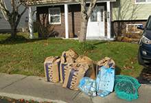 paper yard waste bags at the curb along with blue recycling bags and garbage covered with a net