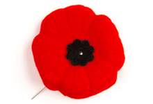 Remembrance Day Poppy Pin