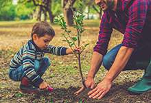 Image of a child and an adult planting a tree in the ground.