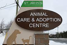 Animal care and adoption sign shows city logo and shadow of a dog and a cat