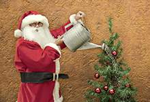 Santa watering a Christmas Tree