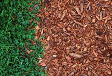 Grass and wood chips.